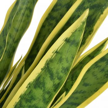 Umjetna biljka sanseverija s posudom 65 cm zelena