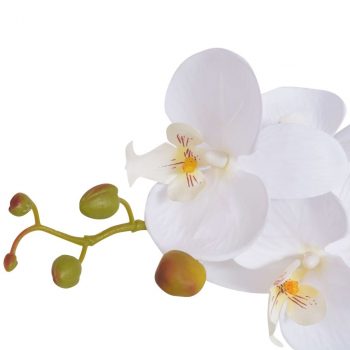 Umjetna orhideja s posudom 65 cm bijela