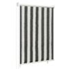 312680 Outdoor Roller Blind 80x140 cm Anthracite and White Stripe